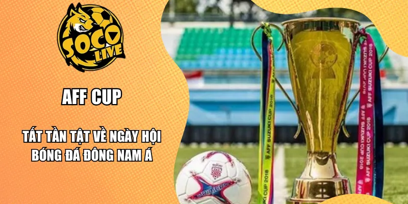 AFF Cup - Tất Tần Tật Về Ngày Hội Bóng Đá Đông Nam Á