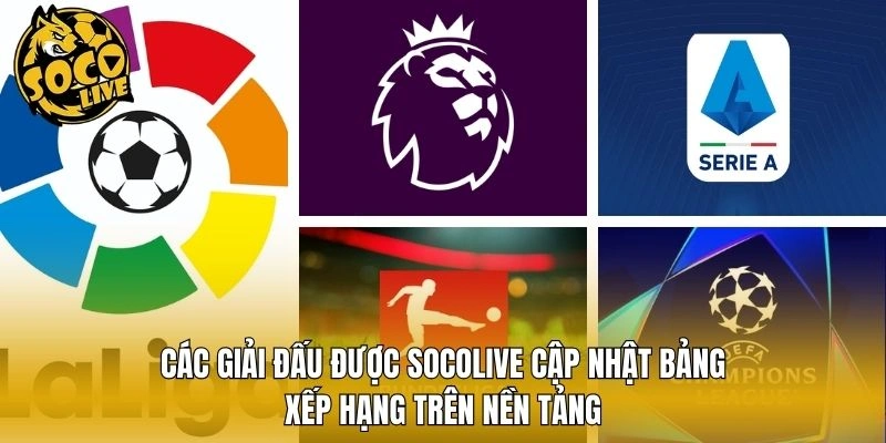 Các giải đấu được Socolive cập nhật bảng xếp hạng trên nền tảng