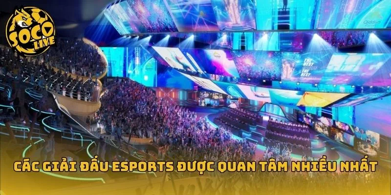 Các giải đấu Esports hàng đầu