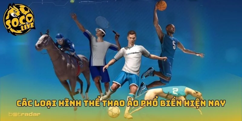 Các môn mô phỏng phổ biến trong thể thao ảo