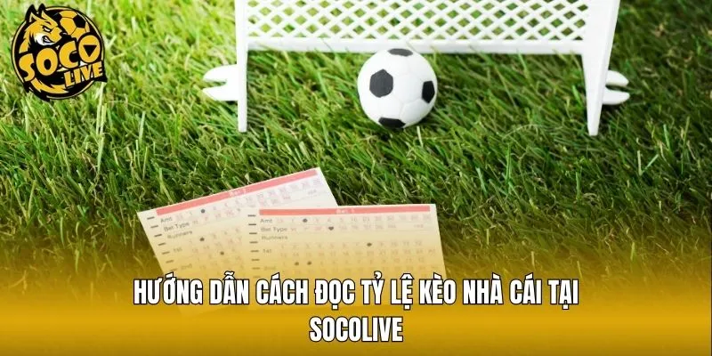 Hướng dẫn cách đọc tỷ lệ kèo nhà cái tại Socolive