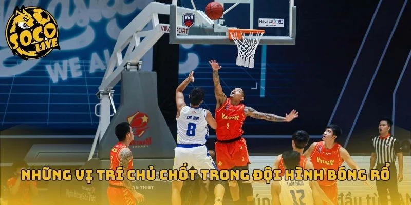 Vai trò các vị trí trong đội hình thi đấu