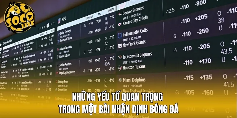 Những yếu tố quan trọng trong một bài nhận định bóng đá