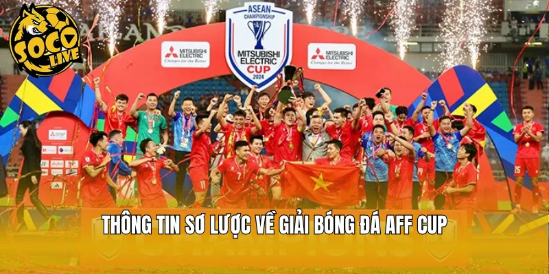 Thông tin sơ lược về giải bóng đá AFF Cup
