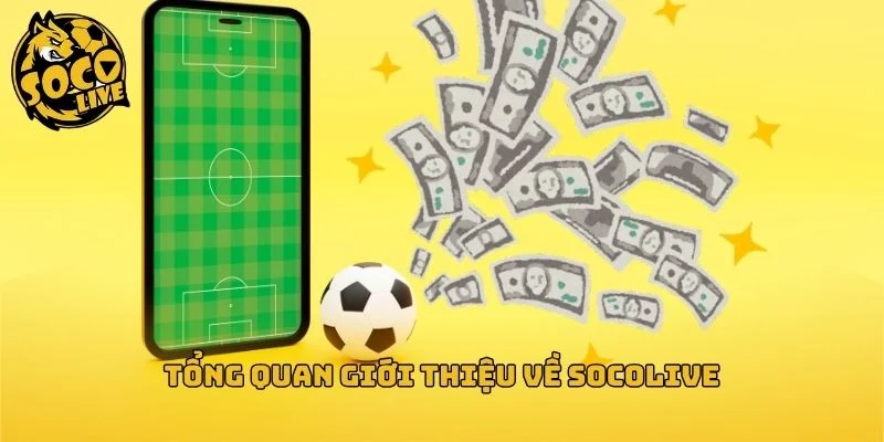 Hành trình và sứ mệnh phụng sự cộng đồng bóng đá Việt