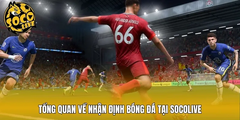 Tổng quan về nhận định bóng đá tại Socolive